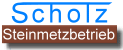 Logo Steinmetz Scholz